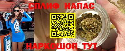 прущие грибы Кингисепп