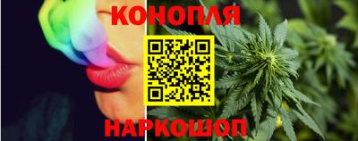 прущие грибы Кингисепп