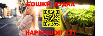 прущие грибы Кингисепп