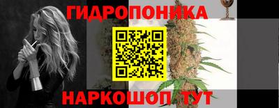 прущие грибы Кингисепп