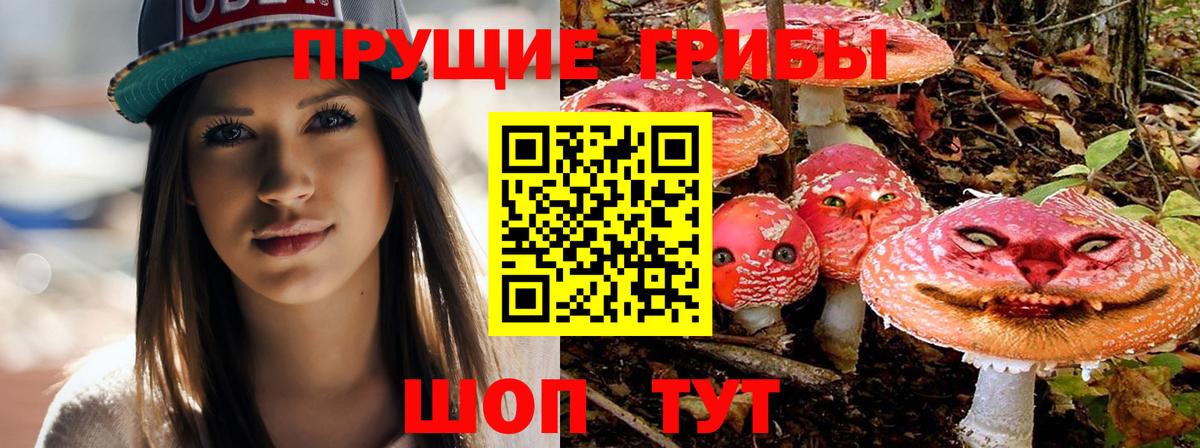 Галлюциногенные грибы мухоморы  Галлюциногенные грибы Magic Shrooms  Лесозаводск  Вход с VPN 