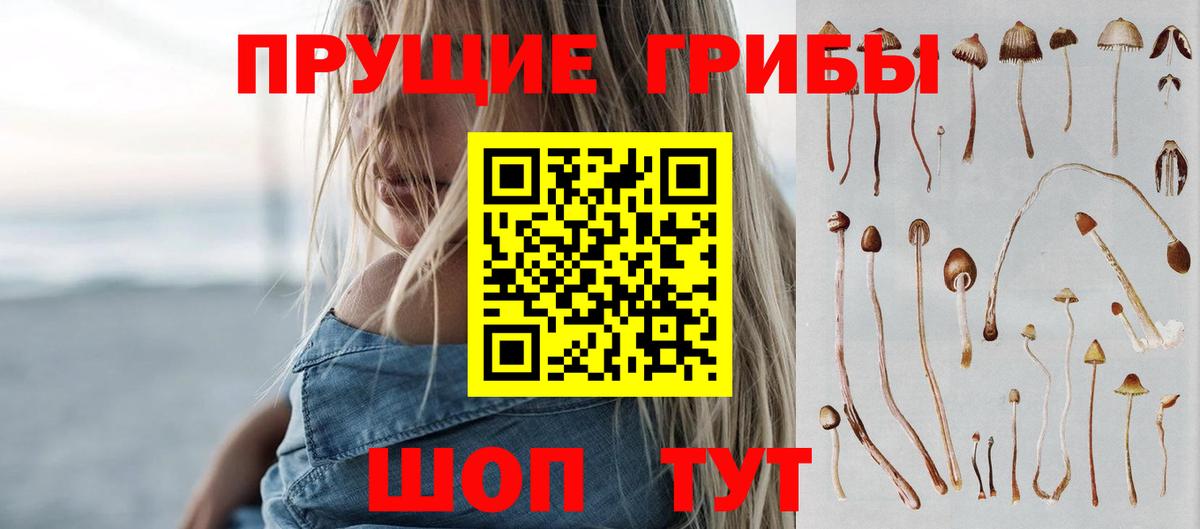 Галлюциногенные грибы мухоморы Лесозаводск